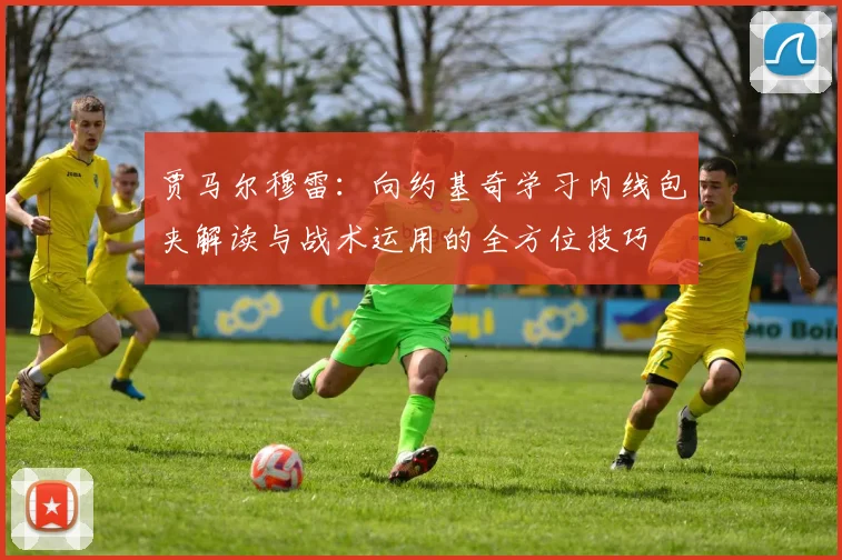 贾马尔穆雷：向约基奇学习内线包夹解读与战术运用的全方位技巧
