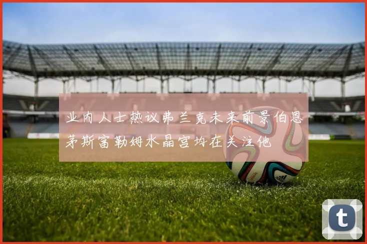 业内人士热议弗兰克未来前景伯恩茅斯富勒姆水晶宫均在关注他